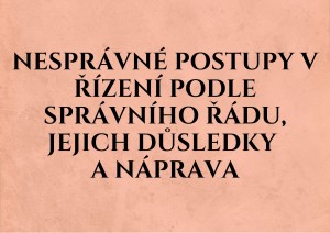 MINI nESPR&Aacute;VN&Eacute; POSTUPY V Ř&Iacute;ZEN&Iacute; PODLE SPR&Aacute;VN&Iacute;HO Ř&Aacute;DU.jpg