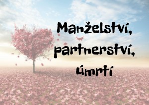 Mini Manželstv&iacute;, partnerstv&iacute;, &uacute;mrt&iacute;.jpg