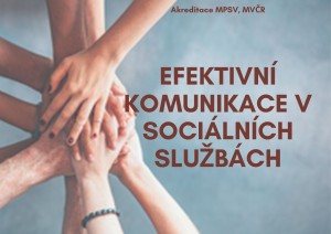Mini Efektivn&iacute; komunikace v soci&aacute;ln&iacute;ch služb&aacute;ch.jpg